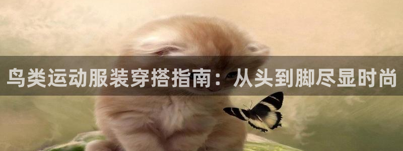 千亿国际网页版登录APP|鸟类运动服装穿
